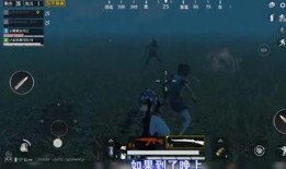 和平精英视频爆料大全,揭秘游戏幕后精彩瞬间